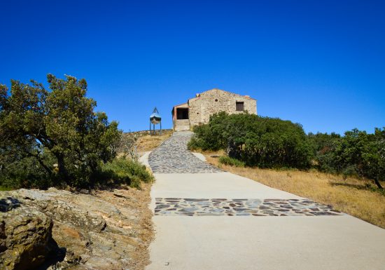 PANORAMA DE FORÇA REAL