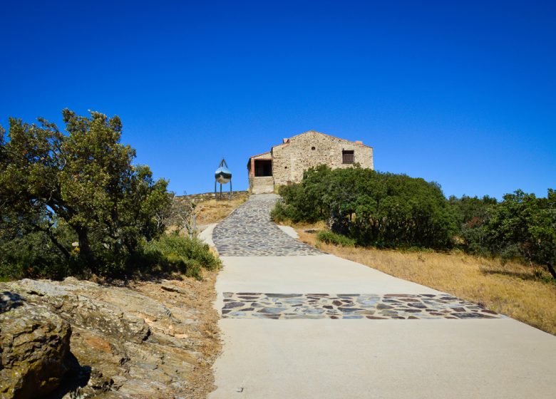 PANORAMA DE FORÇA REAL