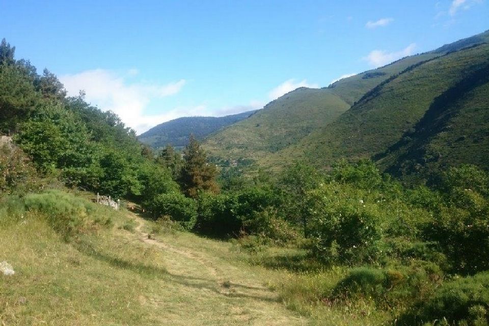 A la rencontre des cervidés (PR15)
