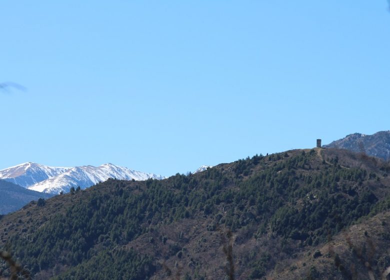 Torre de l'abadia de Saint-Martin du Canigó