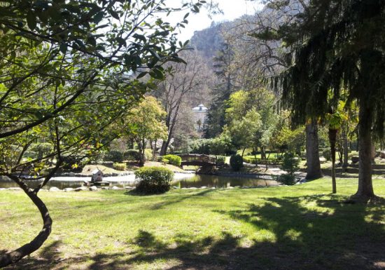 VILLAGE ARBORETUM