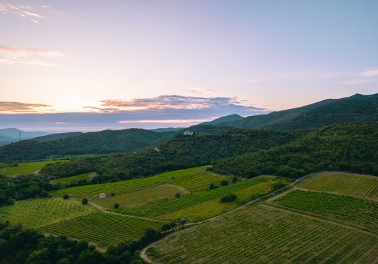 DOMAINE DOMANOVA