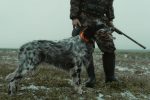 pexels-tima-miroshnichenko-6204541 FÊTE DE LA CHASSE