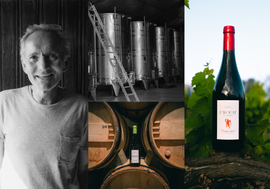 DOMAINE DOMANOVA
