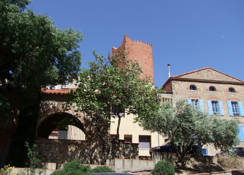 El Cami de Banyuls dels Aspres