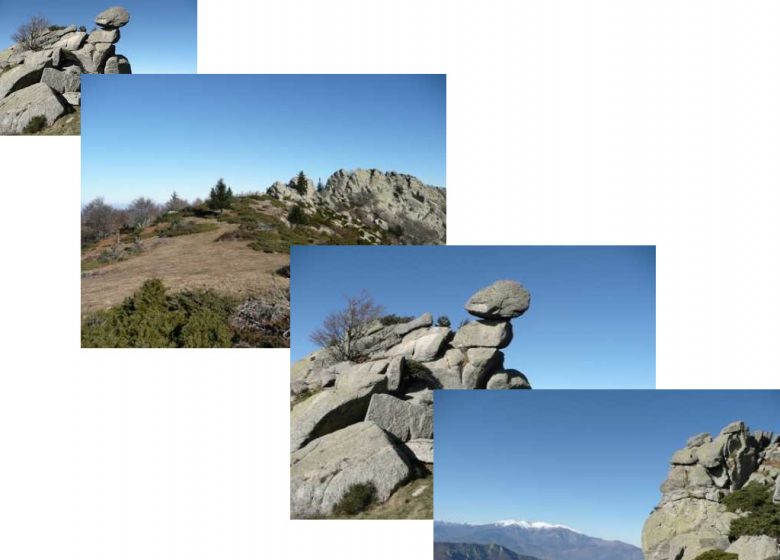 LES PIQUES DE SANT MARTI