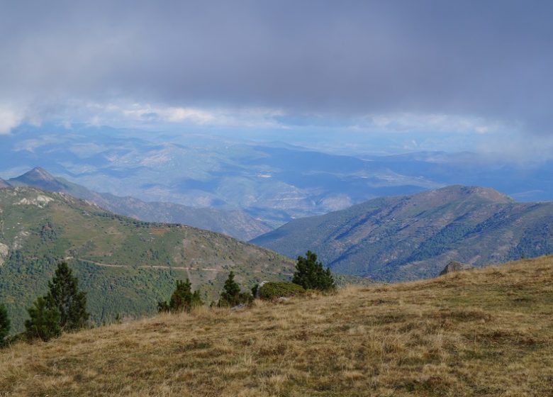 Puig de l'Estella