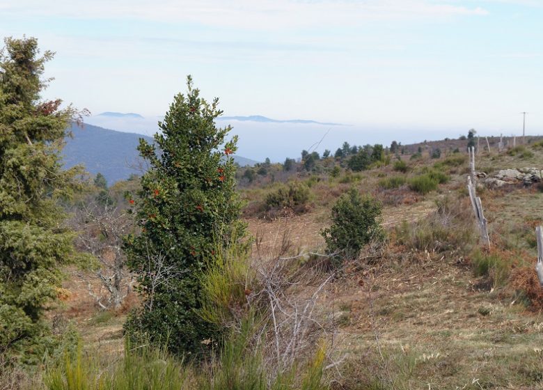 Along the rural road, from La Bastide