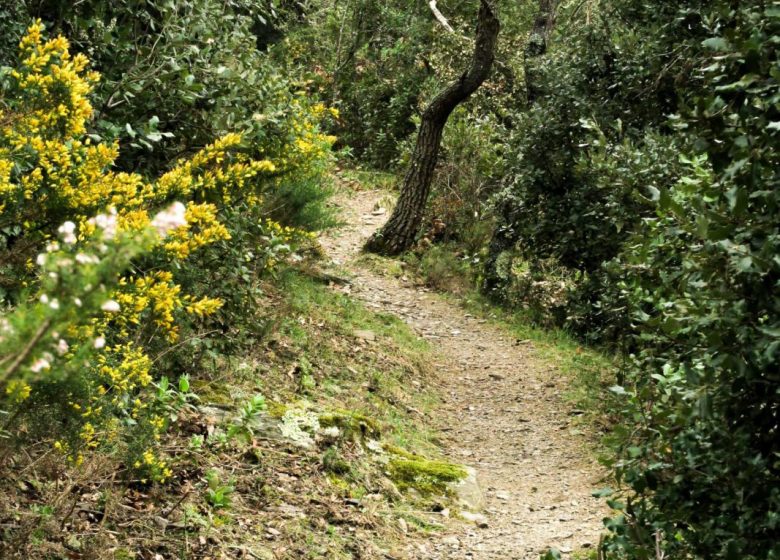 RANDO ACCOMPAGNEE : LE PUIG MARBET ET LES VILLAGES DE LA VALLEE DU LLECH