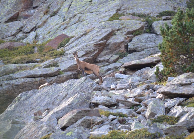 BAIN DE NATURE EN HAUT CONFLENT, PETITE RANDONNEE AVEC PASSCANIGO