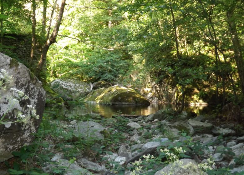 RANDO VALL »RESPIR
