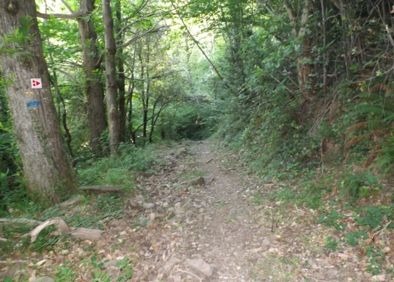 RANDO VALL »RESPIR