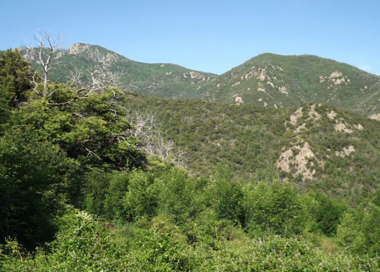 RANDO VALL »RESPIR