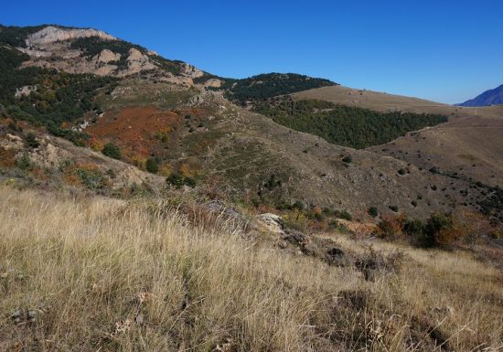 RESERVE NATURELLE DE JUJOLS