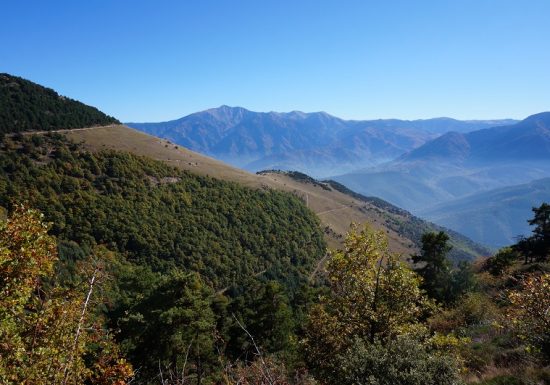 RESERVE NATURELLE DE JUJOLS
