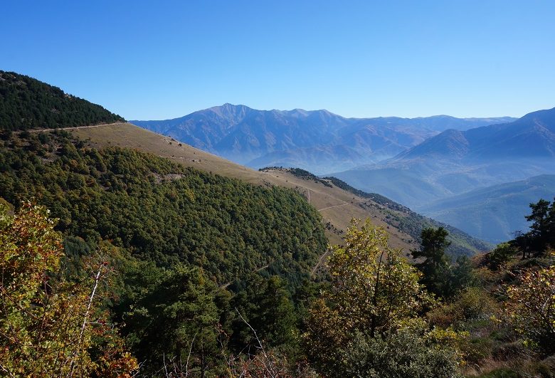 RESERVE NATURELLE DE JUJOLS