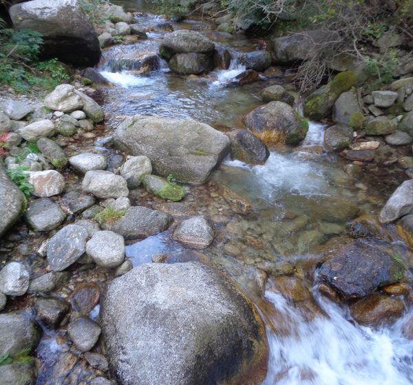 RANDO ACCOMPAGNEE : SENTIER DE CANTAPOC DANS LA VALLEE DE LA ROTJA