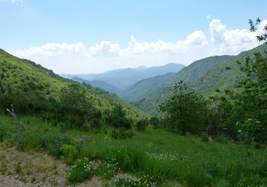 Chapelle Sant Guillem