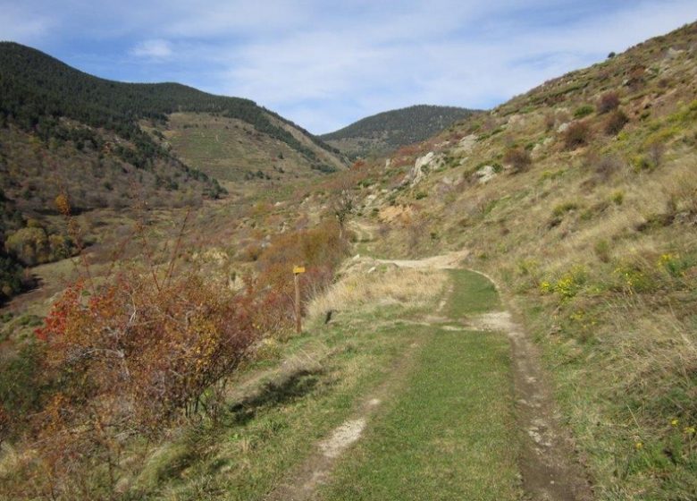 A la rencontre des cervidés (PR15)