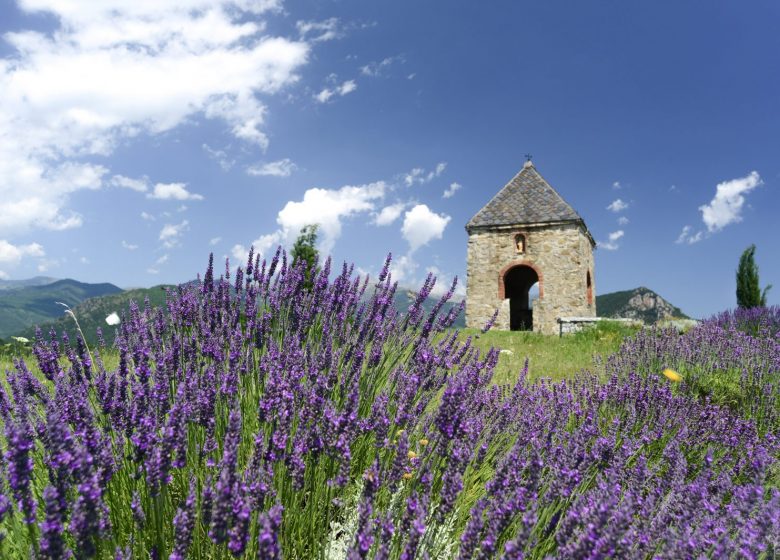 VISITE COMMENTÉE DU MUSÉE, DU CONJURADOR ET DE L’ÉGLISE