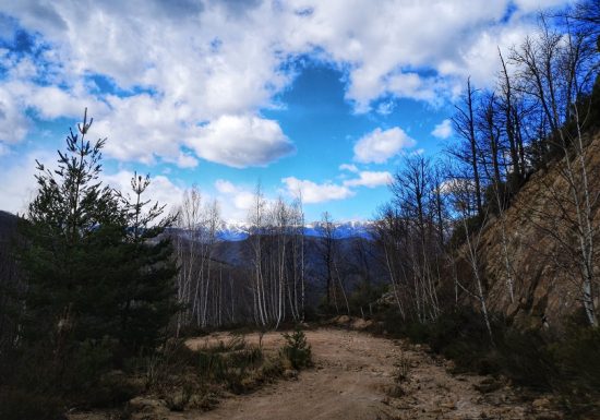 De Serralongue à Falgós