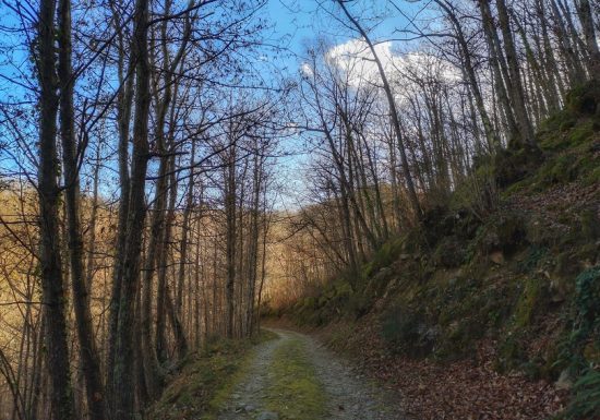 De Serralongue à Falgós