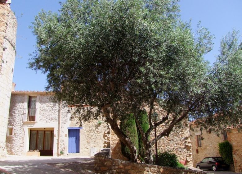Roc de Majorque, depuis Sainte-Colombe-de-la-Commanderie