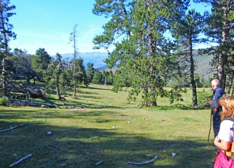Chemin de la Retirada