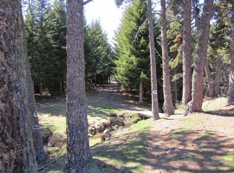 L’Etang du Ticou (PR61)