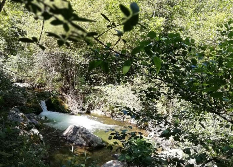 SAINT MARTIN DU CANIGOU APARTMENT