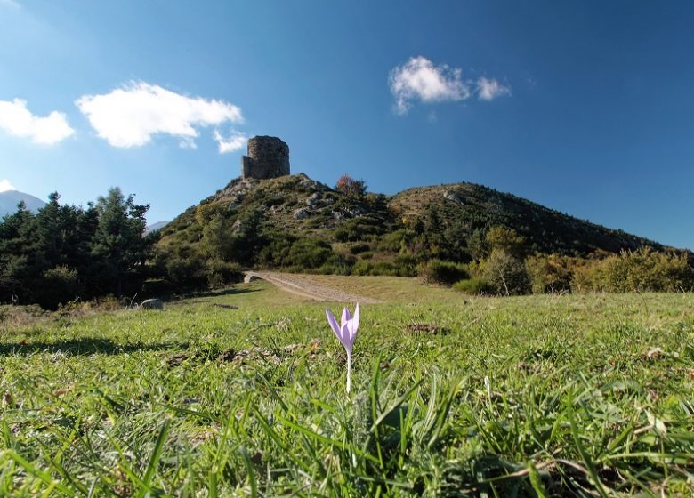 ronda de hierro