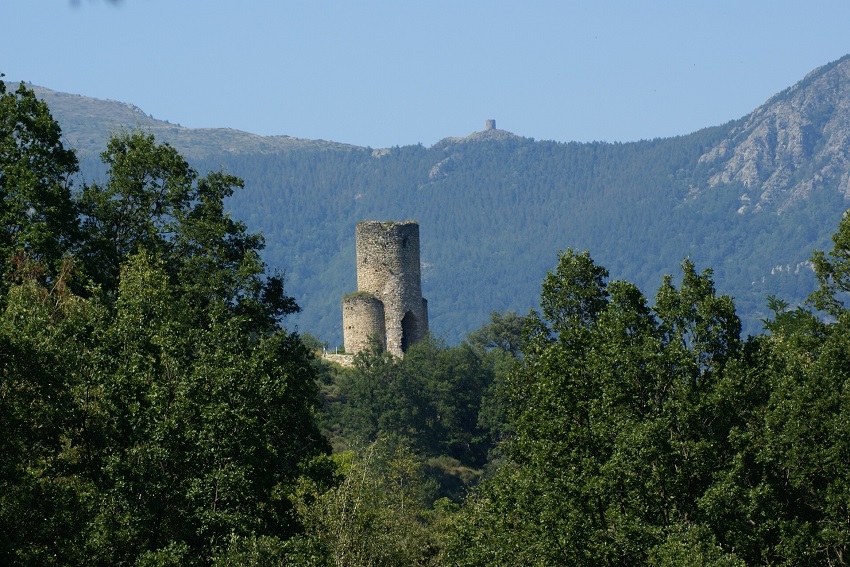 Ronda de gamuza