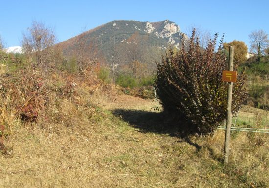 De Serralongue au Tech