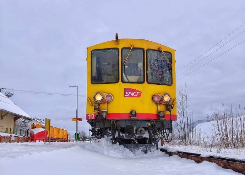 LE TRAIN JAUNE