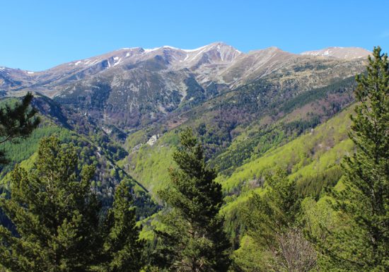 Tour du Haut Vallespir GR®P