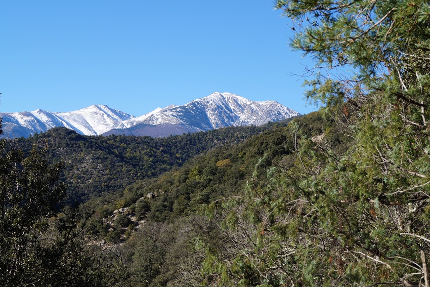 El Molino