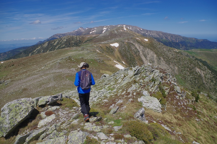 Tour of the GR®P nature reserves