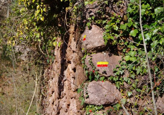 Tour du Haut Vallespir GR®P