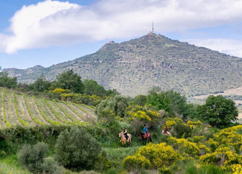 EARL EQUITÊT HIKE