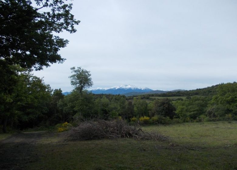 Sentier des Cabanes