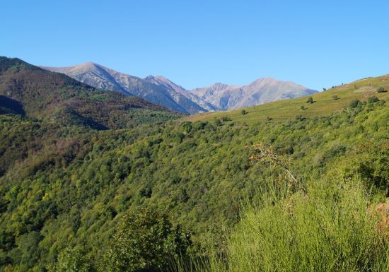 Au fil du chemin rural, depuis Saint-Marsal
