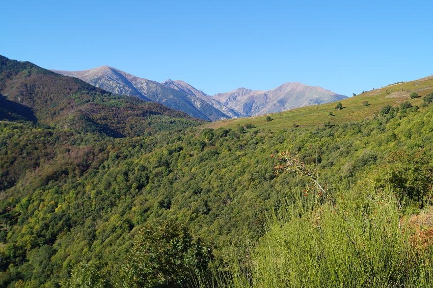 Por el camino rural, desde Saint-Marsal