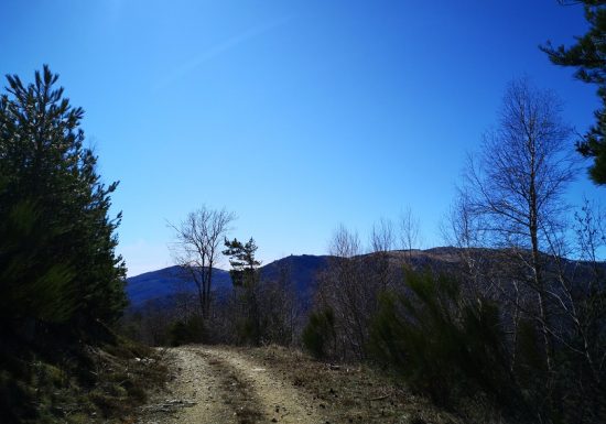 Version free-ride du n°17